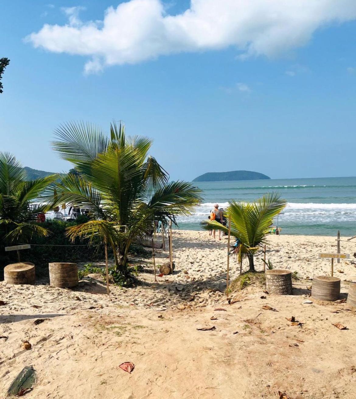 Apartamento Na Do Sape - - Hora Da - Terreo Ubatuba